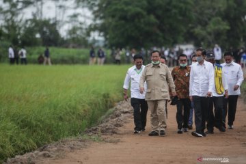 Mentan: Food estate di Kalteng bakal manfaatkan modernisasi pertanian