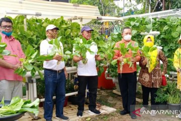 Petani Ibu Kota di lahan terbatas