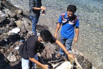 15 kilogram sirip ikan pari manta dimusnahkan di Flores Timur