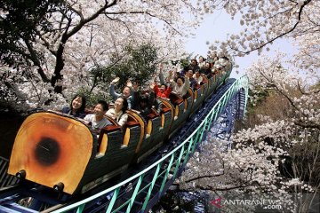 Cegah COVID-19, naik wahana rollercoaster di Jepang dilarang teriak