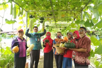 Kalbar gaungkan cinta produk pangan lokal