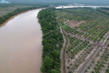Kondisi kawasan penyangga cagar alam mangrove