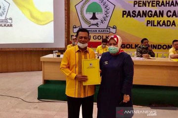 Golkar-NasDem usung Ansar-Marlin pada Pilkada Kepri 2020