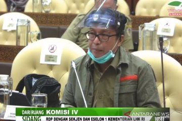 Dirjen Gakkum KLHK pertimbangkan audit kepatuhan cegah karhutla