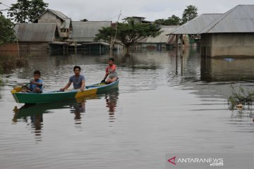 Ratusan rumah terendam banjir di Konawe