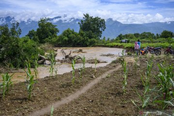 Menjamin ketahanan pangan di Sulawesi Tengah