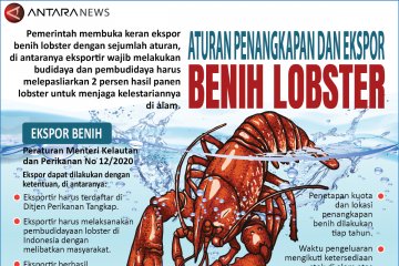 Aturan penangkapan dan ekspor benih lobster