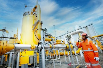 PGN kembangkan bisnis global LNG