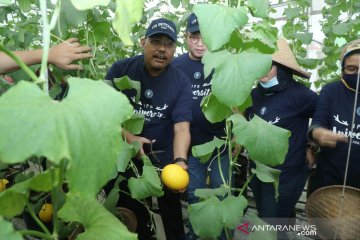 Jazilul Fawaid dukung pemerintah siapkan anggaran asuransi inovasi