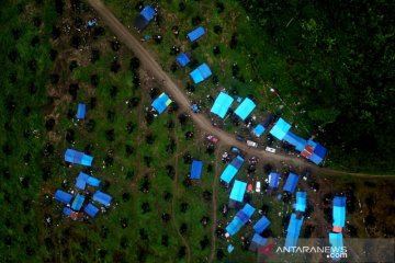 Pengungsi banjir bandang di Luwu Utara