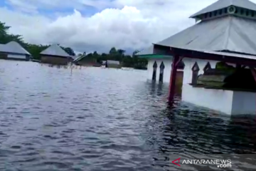 Banjir di Konawe meluas hingga mencapai 49 desa di 16 kecamatan