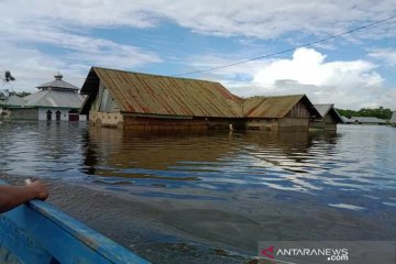 BPBD: Banjir Konawe meluas ke 50 desa, 3.114 jiwa mengungsi