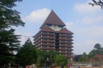 FTUI kenalkan biopestisida tanaman palawija di Lombok Timur