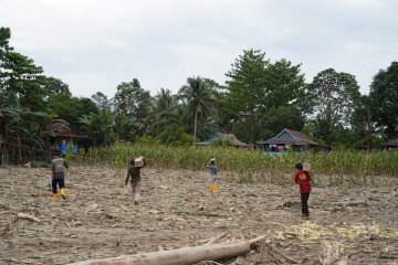 BPPW Sulsel tempatkan 15 hidran layani kebutuhan air korban banjir