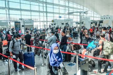 KBRI pulangkan hampir 1.000 WNI dari Brunei dengan enam penerbangan