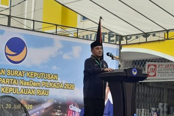 NasDem sebut penggugat jabatan ex-officio BP Batam tidak hargai Jokowi