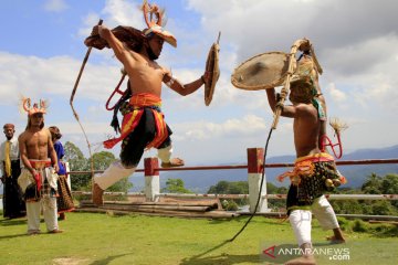 Atraksi tarian perang khas masyarakat Manggarai