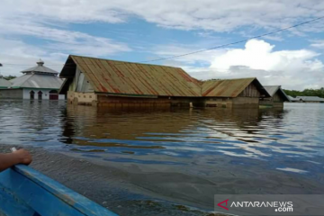 Banjir di Konawe Sultra meluas ke 62 desa