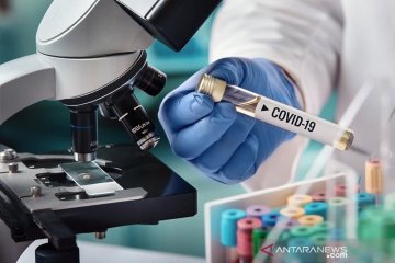 Komite COVID-19 dan PEN bahas pengembangan vaksin corona