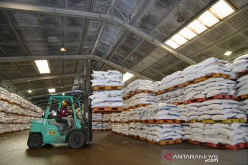 Pupuk Kaltim siapkan stok 79.500 kg urea nonsubsidi di Sulut