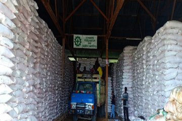 Pupuk Kaltim salurkan 581,20 ton pupuk bersubsidi ke Papua Barat