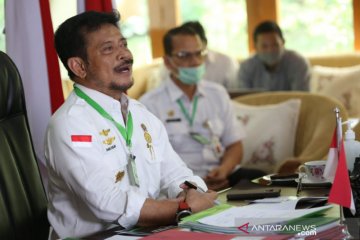 Mentan dorong peningkatan kapasitas industri penggilingan padi