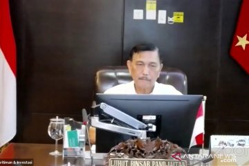 Luhut prediksi Banyuwangi-Bromo banyak dikunjungi saat normal baru