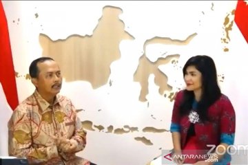 Investasi Singapura di Indonesia naik pada kuartal I dan II