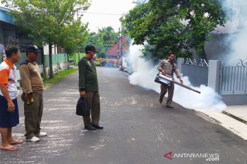 Penderita DBD terbanyak di Sumsel disandang Kota Palembang