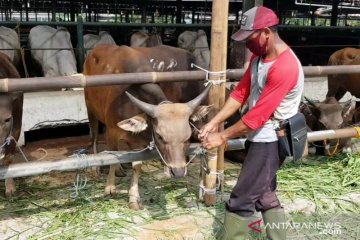 Lokasi pemotongan kurban Jakarta Timur berkurang akibat COVID-19