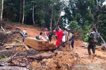 Polisi tangkap pembalak hutan lindung di Aceh Jaya