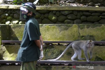 Bappenas sebut COVID-19 dorong pariwisata berbasis kualitas