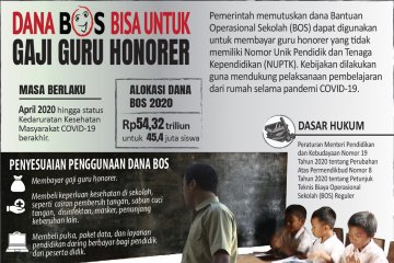 Dana BOS bisa untuk gaji guru honorer