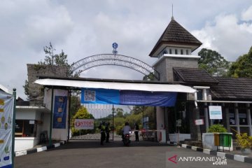 Pengunjung Kebun Raya Cibodas meningkat sejak kembali dibuka