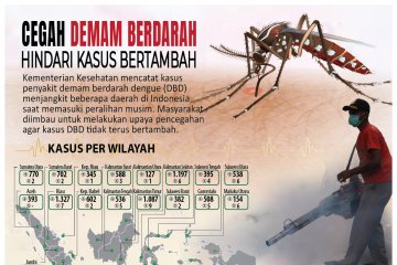 Cegah demam berdarah, hindari kasus bertambah