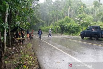 Pohon tumbang di Aceh timpa sepeda motor dan kabel listik PLN