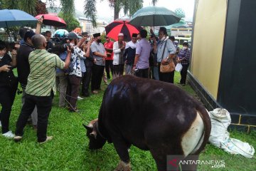 Masjid Raya Al-Fatah Ambon terima hewan kurban dari DPRD Maluku