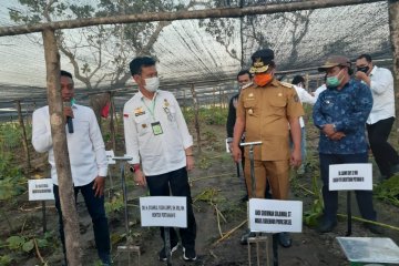 Mentan serahkan bantuan pertanian Rp26 miliar ke Sidrap