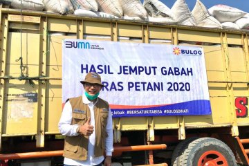 Jaga stok akhir tahun, Bulog serap gabah petani