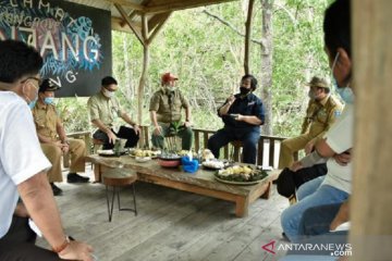 Menteri LHK apresiasi Babel tanami mangrove di bekas tambang