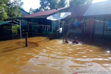 BPBD: 15.384 warga Aceh Barat terdampak banjir, sebagian mengungsi