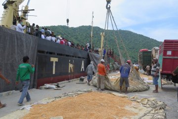 Gorontalo akan ekspor 12.500 ton jagung ke Filipina