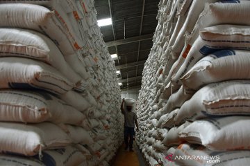 Tingkatkan serapan beras petani ditengah COVID-19