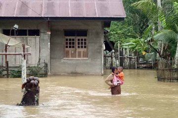 Walhi Aceh desak pembukaan kawasan hutan dihentikan
