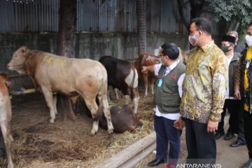 Anies serahkan 34 sapi untuk kurban