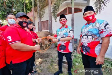 Gibran serahkan sapi kurban ke DPC PDIP Surakarta