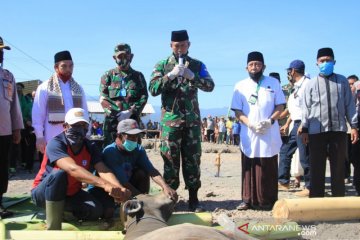 Kasad serahkan 16 sapi kurban untuk masyarakat Pulau Bungin Sumbawa