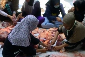 BPOM larang masyarakat gunakan plastik hitam untuk daging kurban