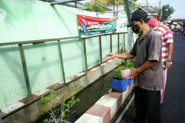 Cegah nyamuk bersarang, warga fungsikan selokan jadi kolam ikan