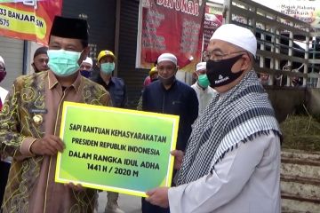 Gubernur Kalsel serahkan sapi kurban dari presiden ke Mesjid Noor Banjarmasin